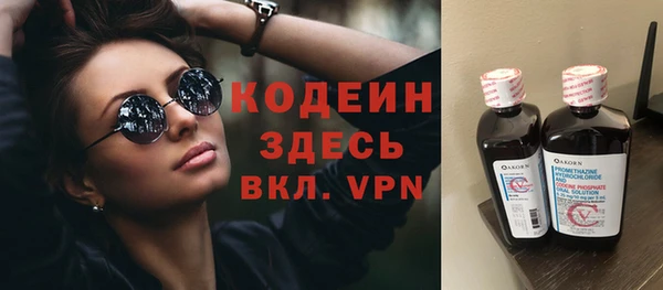 дурь Ельня