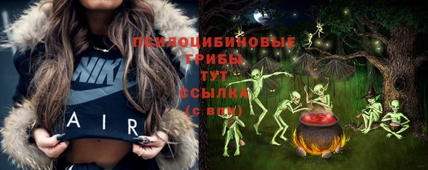 не бодяженный Дмитриев