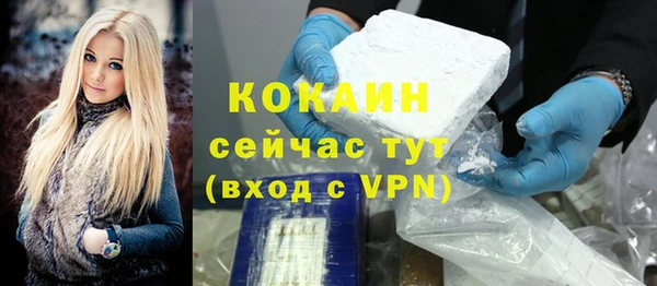 дурь Ельня
